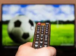 塔图姆卓越,发挥,率绿军领跑,开云赞助,体育品牌赞助,赛事合作资讯,足球赞助平台,体育营销信息