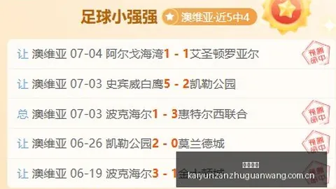 开云赞助 100046